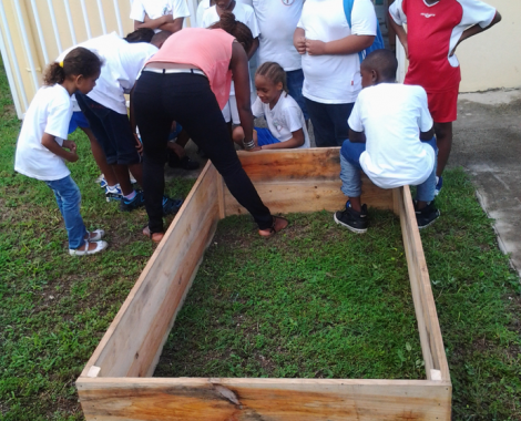 Initiation au jardinage dans une école